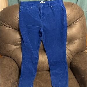 New York & Co Bright Blue Women's Corduroy Skinny Jeans
